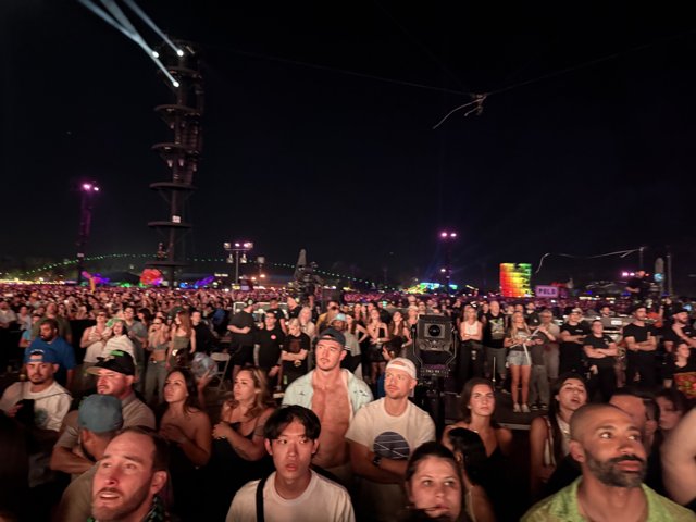Festival Night Vibes