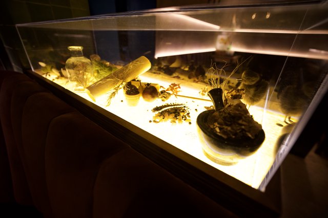Museum Display Case of Natural History Specimens