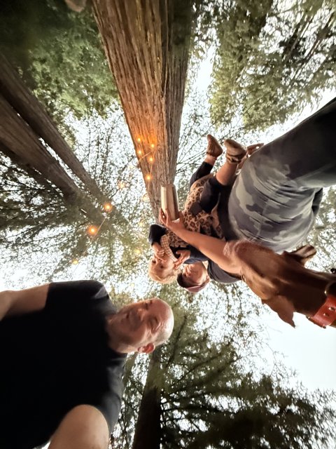 Among Giants: A Moment in the Grove