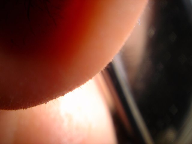 Ear Close Up
