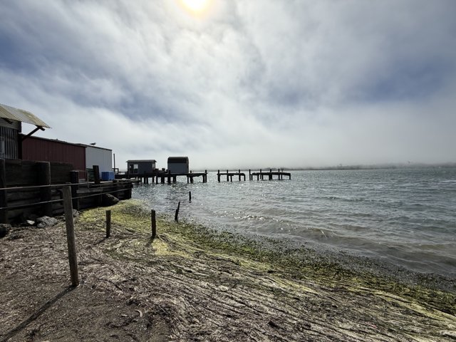 Tranquility at Bodega Bay
