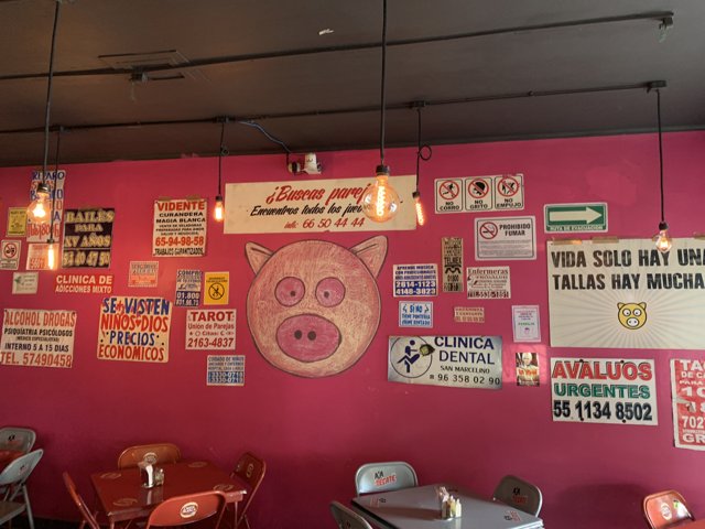 Pink Wall of Signs