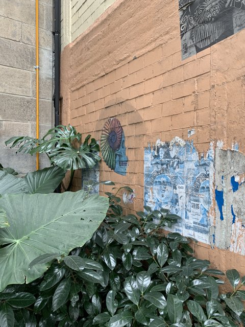 A Touch of Nature on an Urban Wall