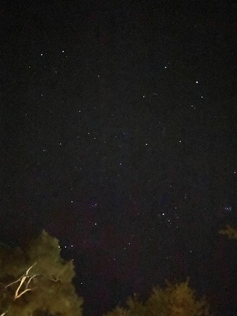 Stellar Night in Carmel