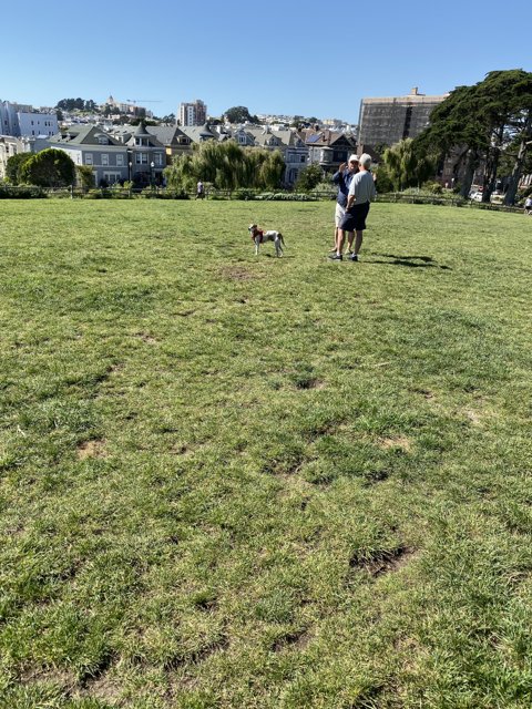 Man and Dog Enjoying the Field with a City Backdrop
