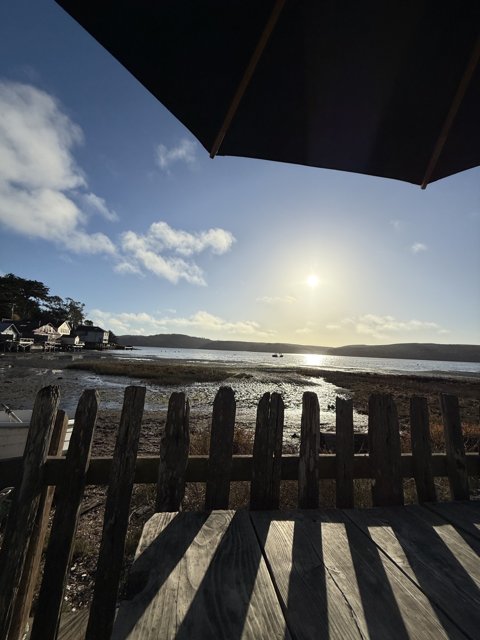 Tranquil Day by the Shore