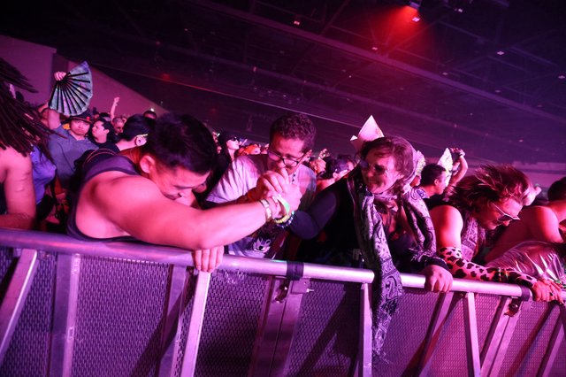 Festival Crowd Pressed Against Barrier at Wobbleland