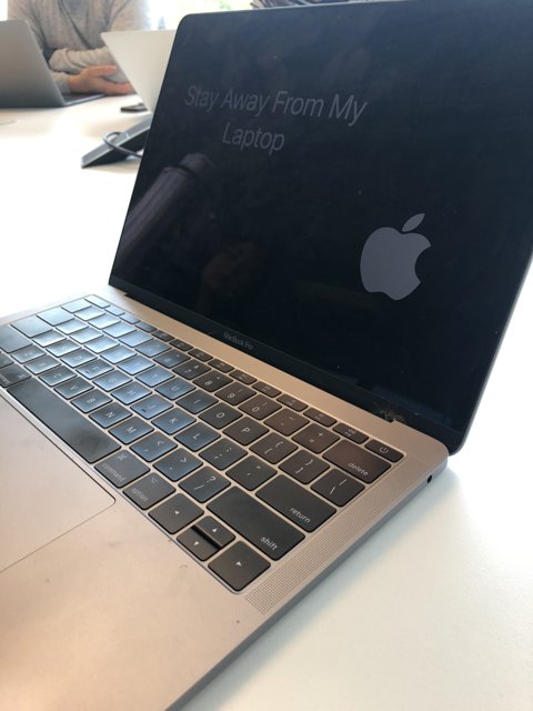 Apple Laptop in 2018
