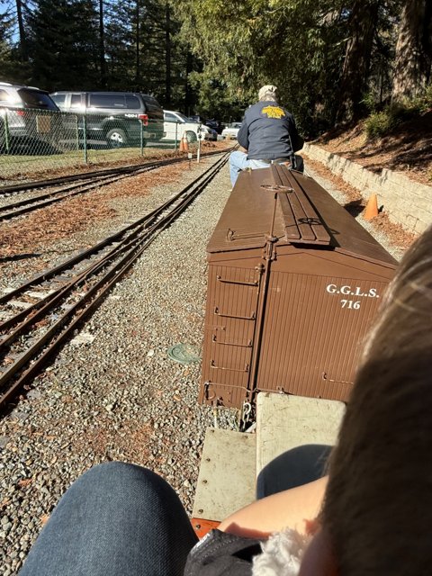 Train Ride Through Nature