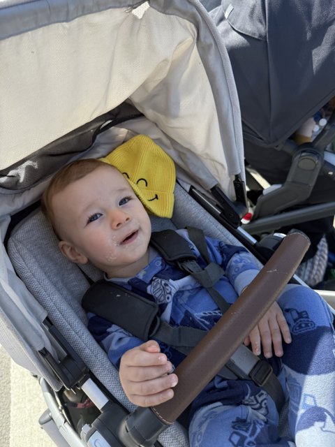 Sunny Smiles on a Stroll