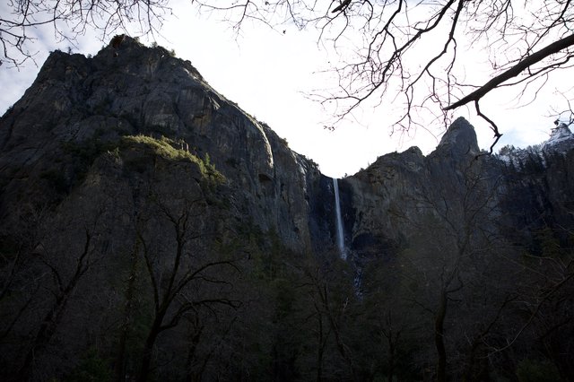 Yosemite Falls Through Bare Winter Branches
