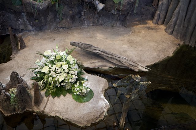 Memorial Floral Arrangement in Naturalistic Zoo Habitat