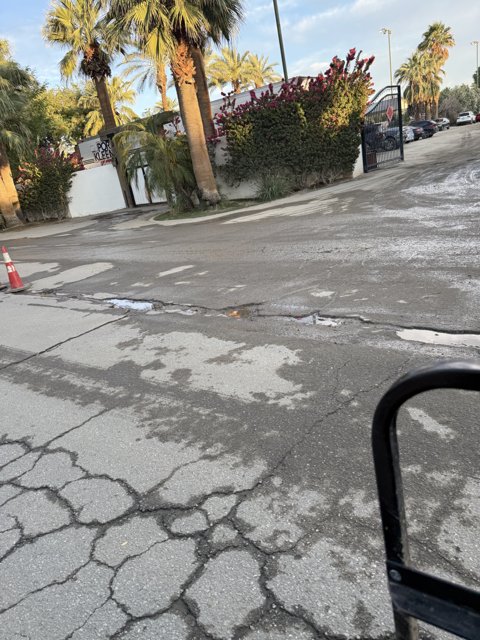 Urban Tranquility in Indio