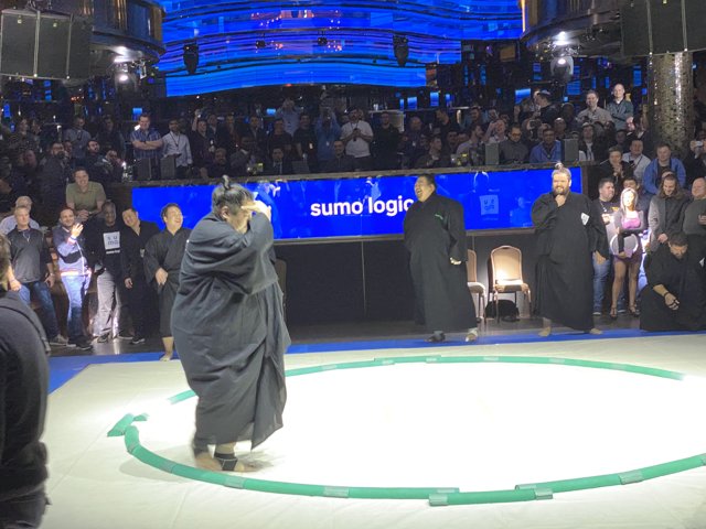 The Masterful Sumo Wrestler