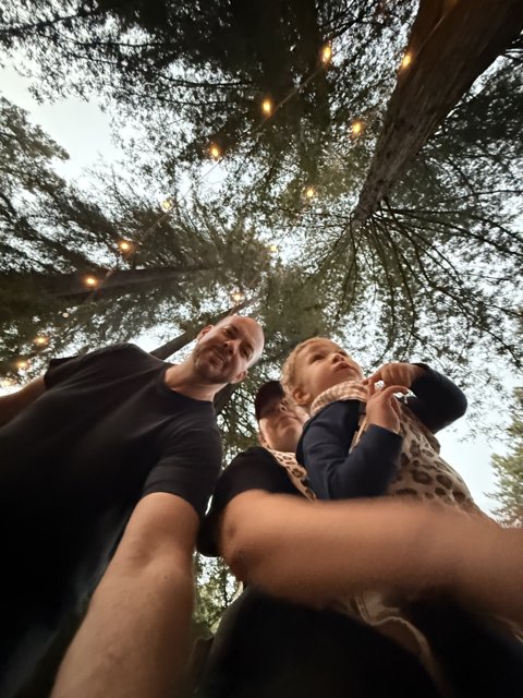 Woodland Wanderers