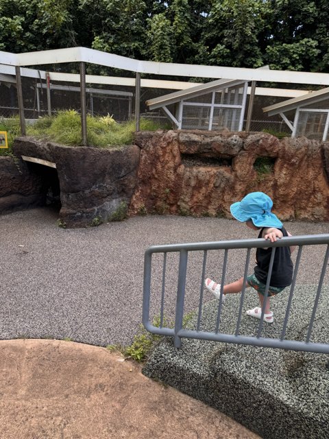 Exploring the Honolulu Zoo