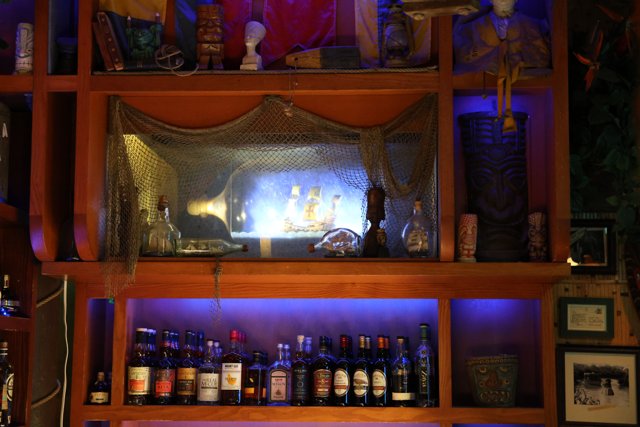 A Luxurious Shelf in a Disney Bar