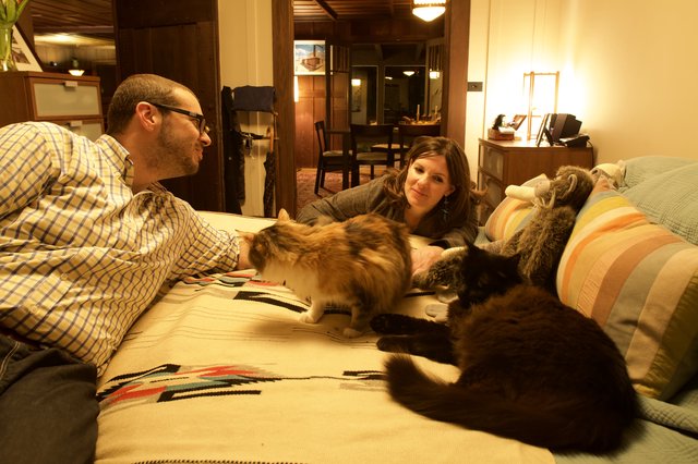Couple Relaxing on Couch With Multiple Cats