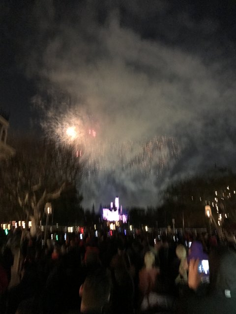 Fireworks Lighting Up the Night Sky at Disneyland
