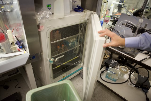 Refrigerating specimens at UCLA laboratory
