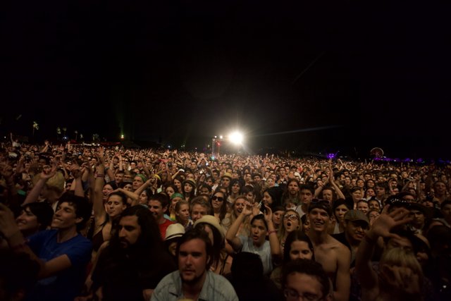 Nighttime Crowd at Cochella Concert