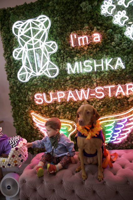 Neon Lights and Canine Delights