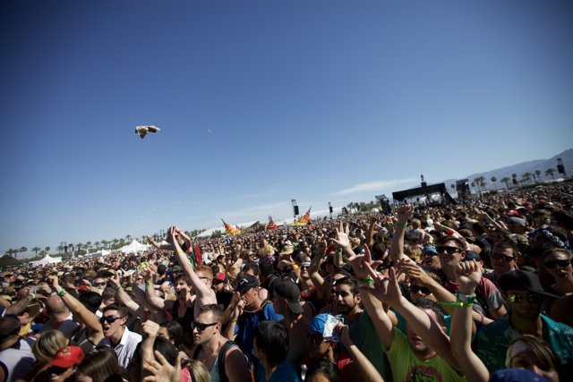 Coachella Crowd under a Blue Sky