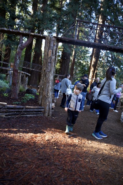 Exploring the Enchanted Woods