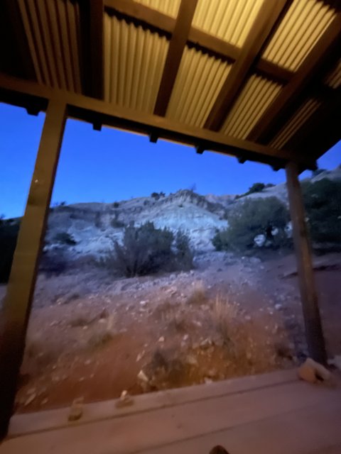Desert Oasis from the Porch