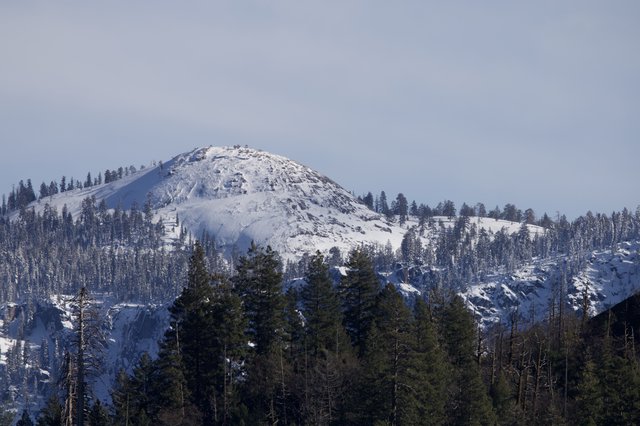 Snow-Covered Dome Peak Rising Above Winter Forest