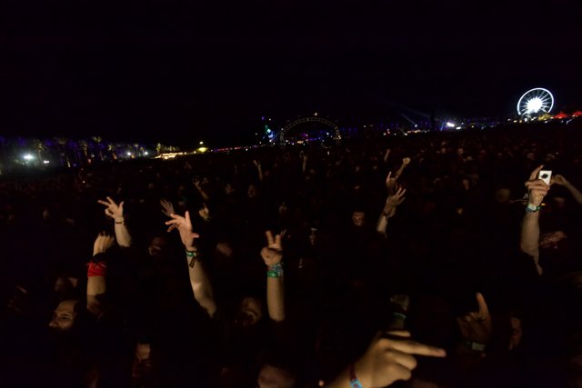 Electric Crowd at Coachella 2012