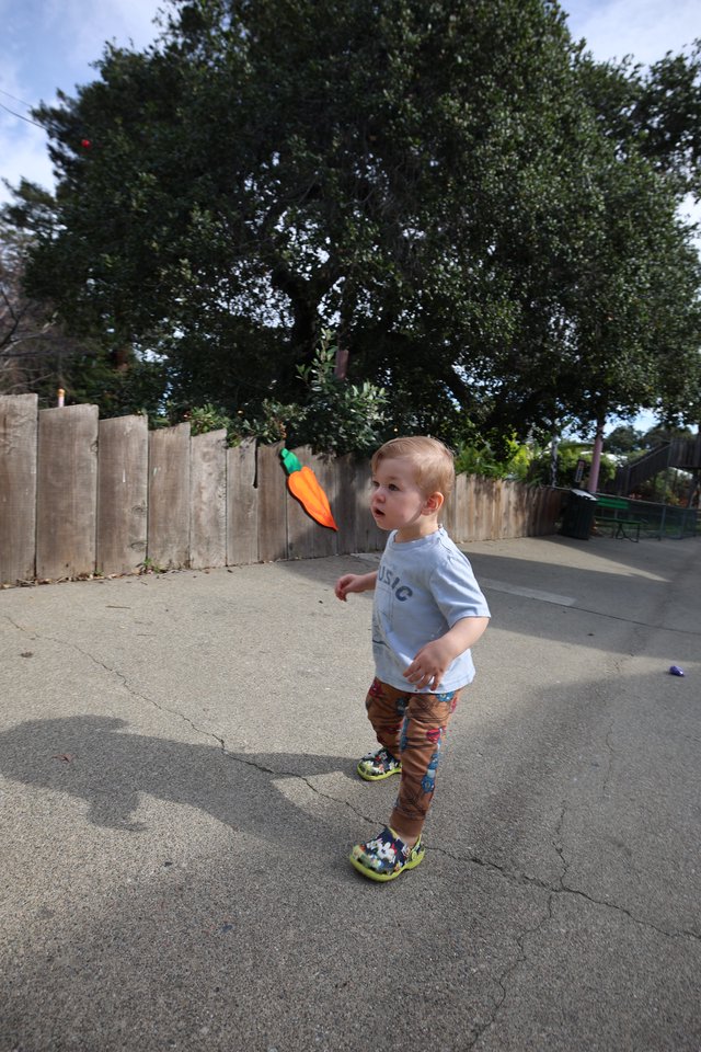 Young Child Playing with Toy in Backyard