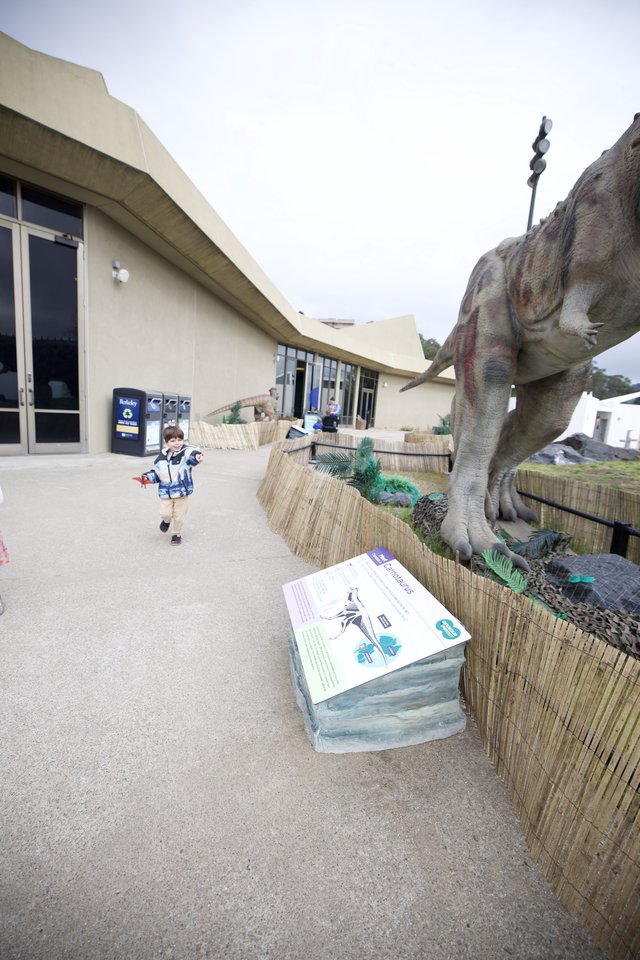 Child Exploring Dinosaur Exhibit at Modern Museum