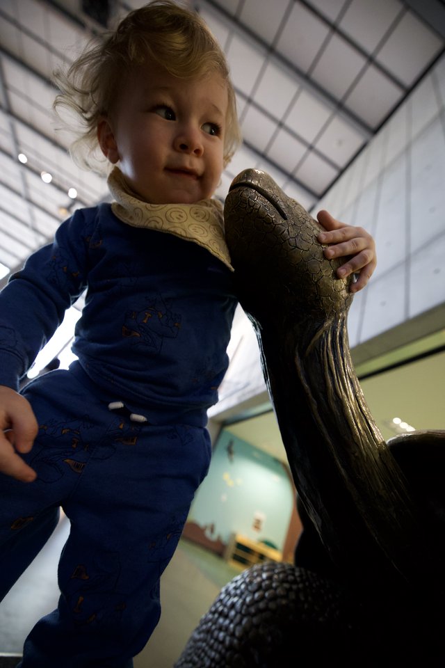 Young Child Explores Dinosaur Sculpture at Museum
