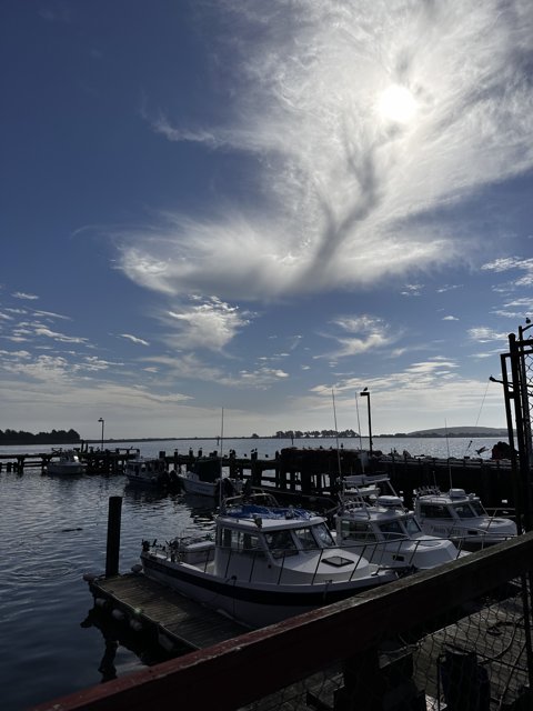 Cloudy Day at Bodega Bay Harbor