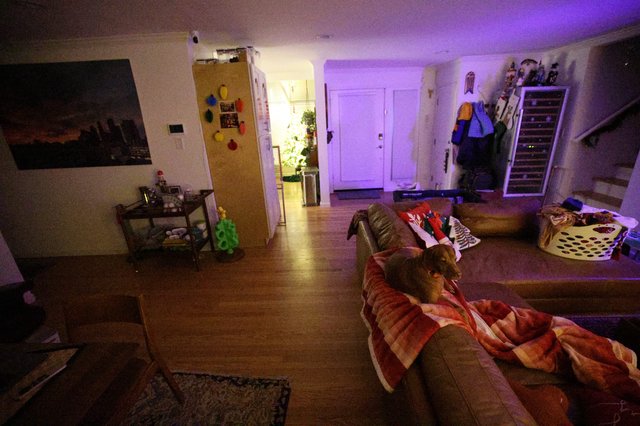 Cozy Living Room with Purple Ambient Lighting at Night