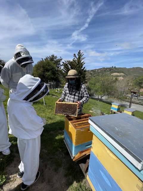 Beekeepers in Action