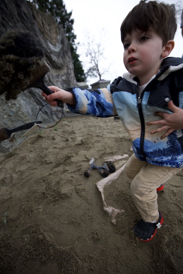 Young Boy Explores Sandy Beach at Low Tide