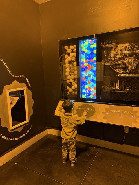 A Young Explorer's Journey