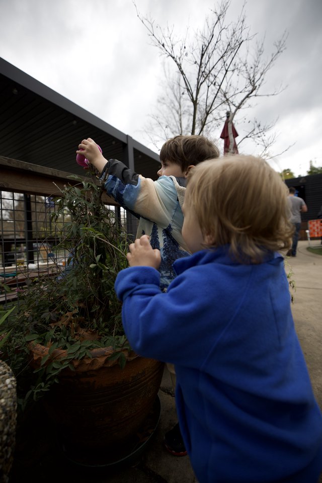 Children Decorating Community Garden Together Outdoors