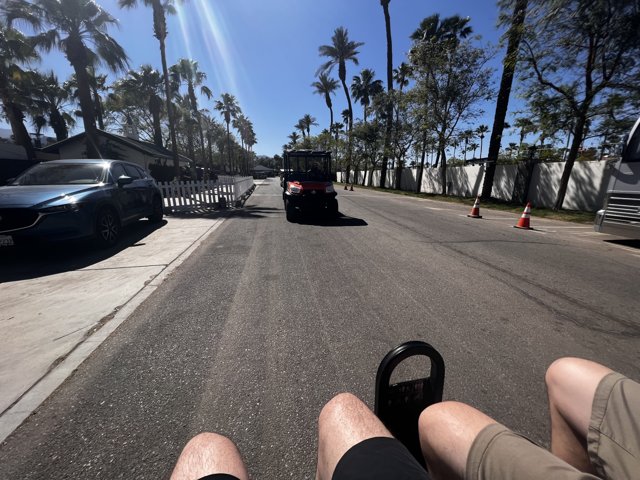 Riding along the Palm Trees