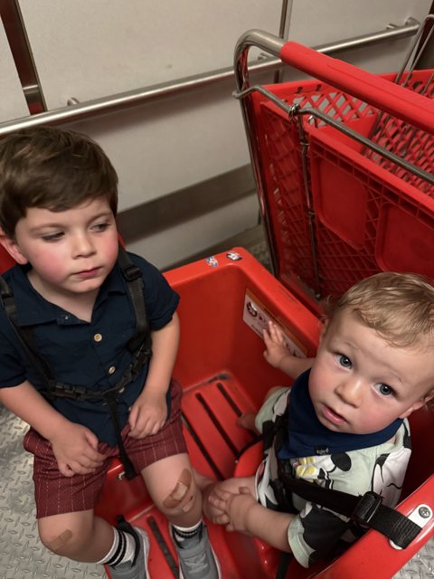 Shopping Cart Adventure