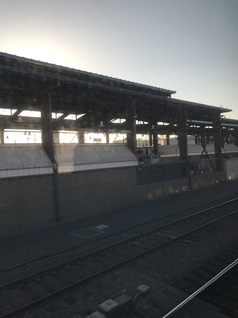 Stationary Train in the Summer Sun