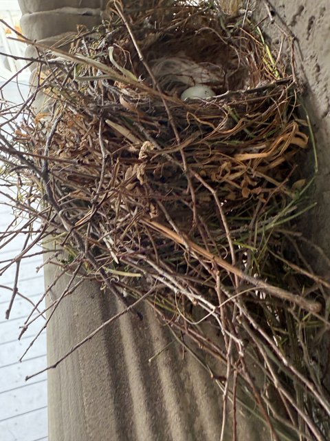 Nature's Cradle