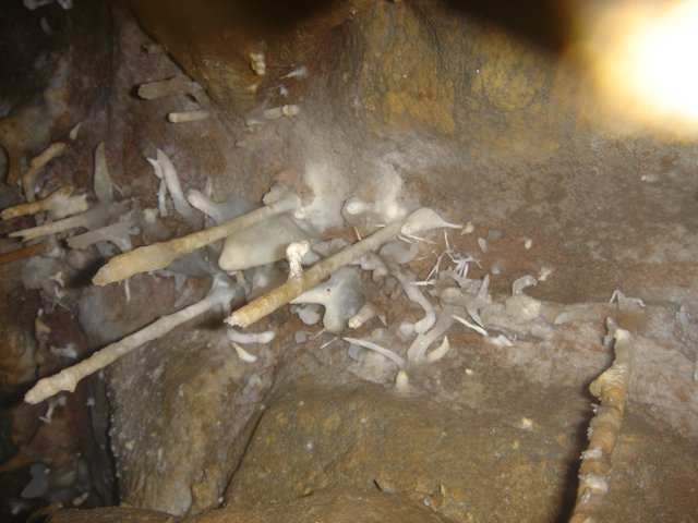 Hidden Treasures in the Cave