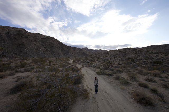 The Wilderness' Gravel Road