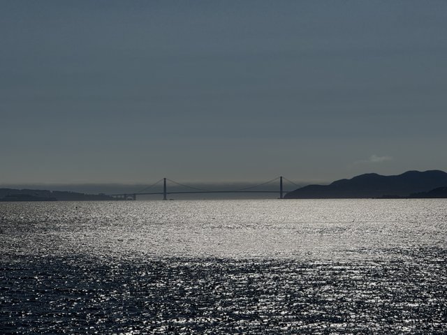 Previous