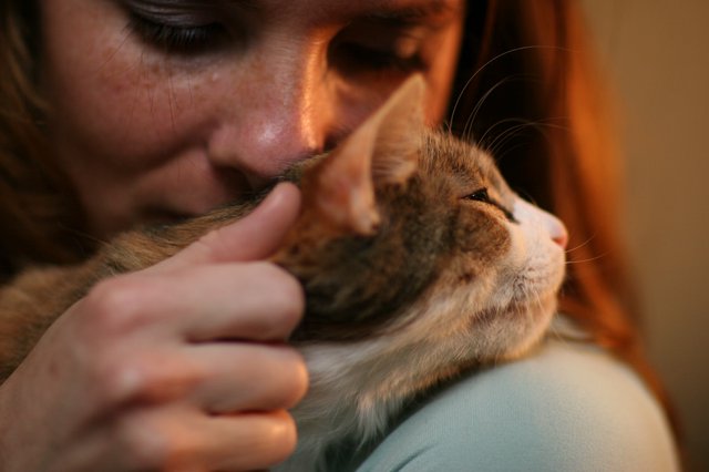 Tender Moment: Woman Nuzzles Beloved Tabby Cat