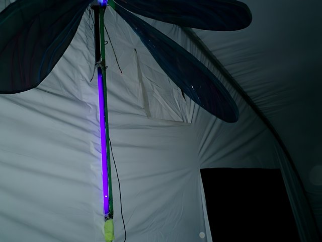 Illuminated Dragonfly in the Night