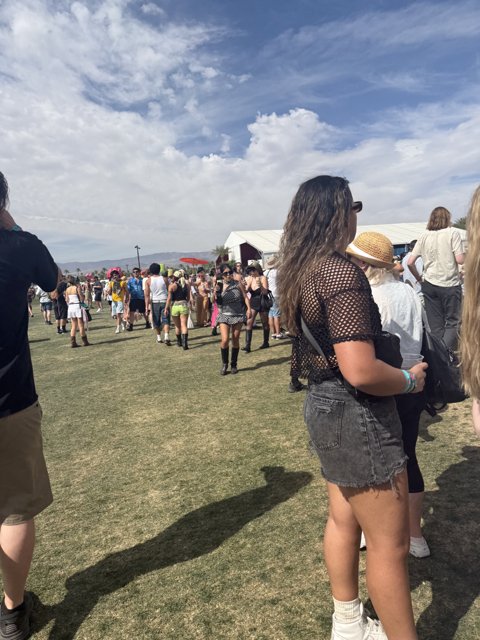 Sunlit Gatherings